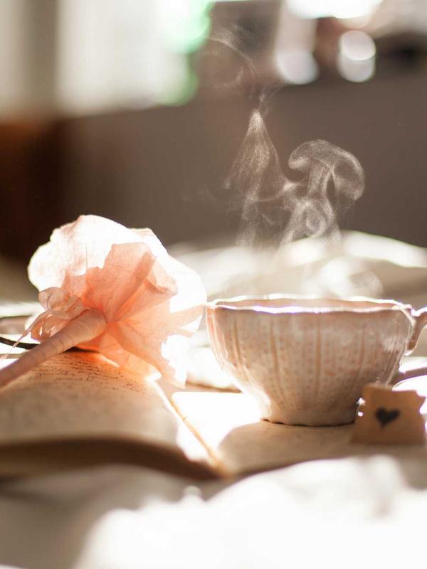 Natureza acolhedora, remetendo à calma da terapia