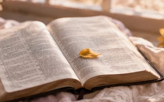 Bíblia aberta sobre tecido claro junto a uma pétala de girassol — versículos para a ansiedade